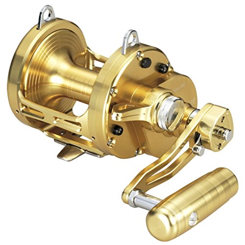 ダイワ(DAIWA) 両軸リール シーラインLD 60 2 SP 2014年モデル - BanzaiHobby