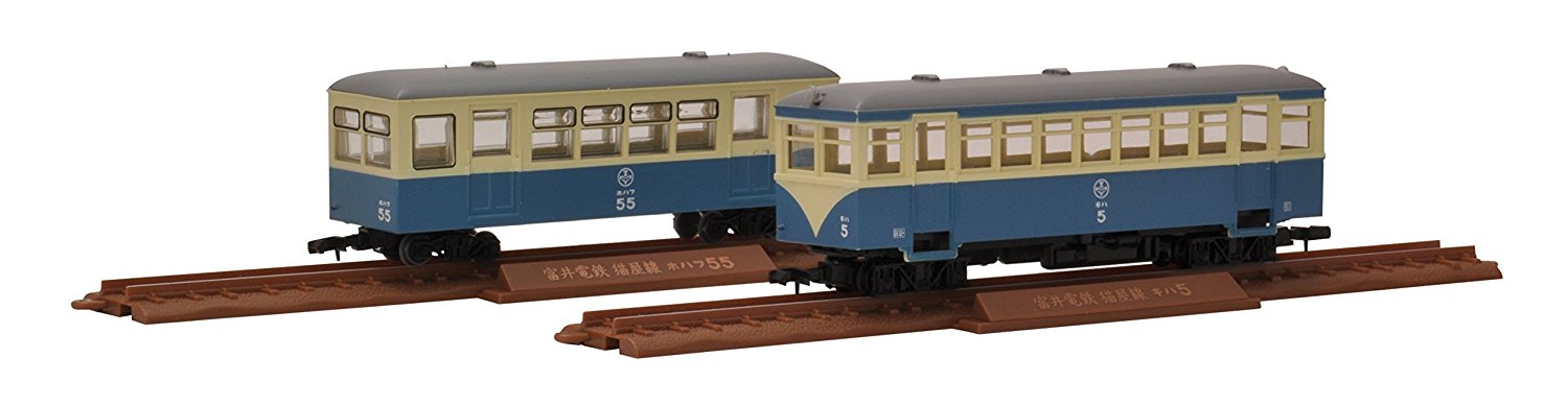 Tomii Electric Railway Nekoya Line Type KIHA1/HOHAFU50 New Color