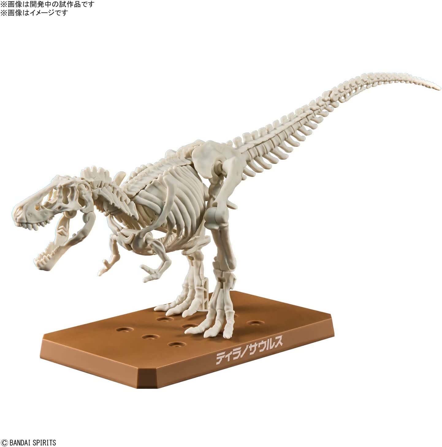 Planosaurus Tyrannosaurus Color Coded Plastic Model