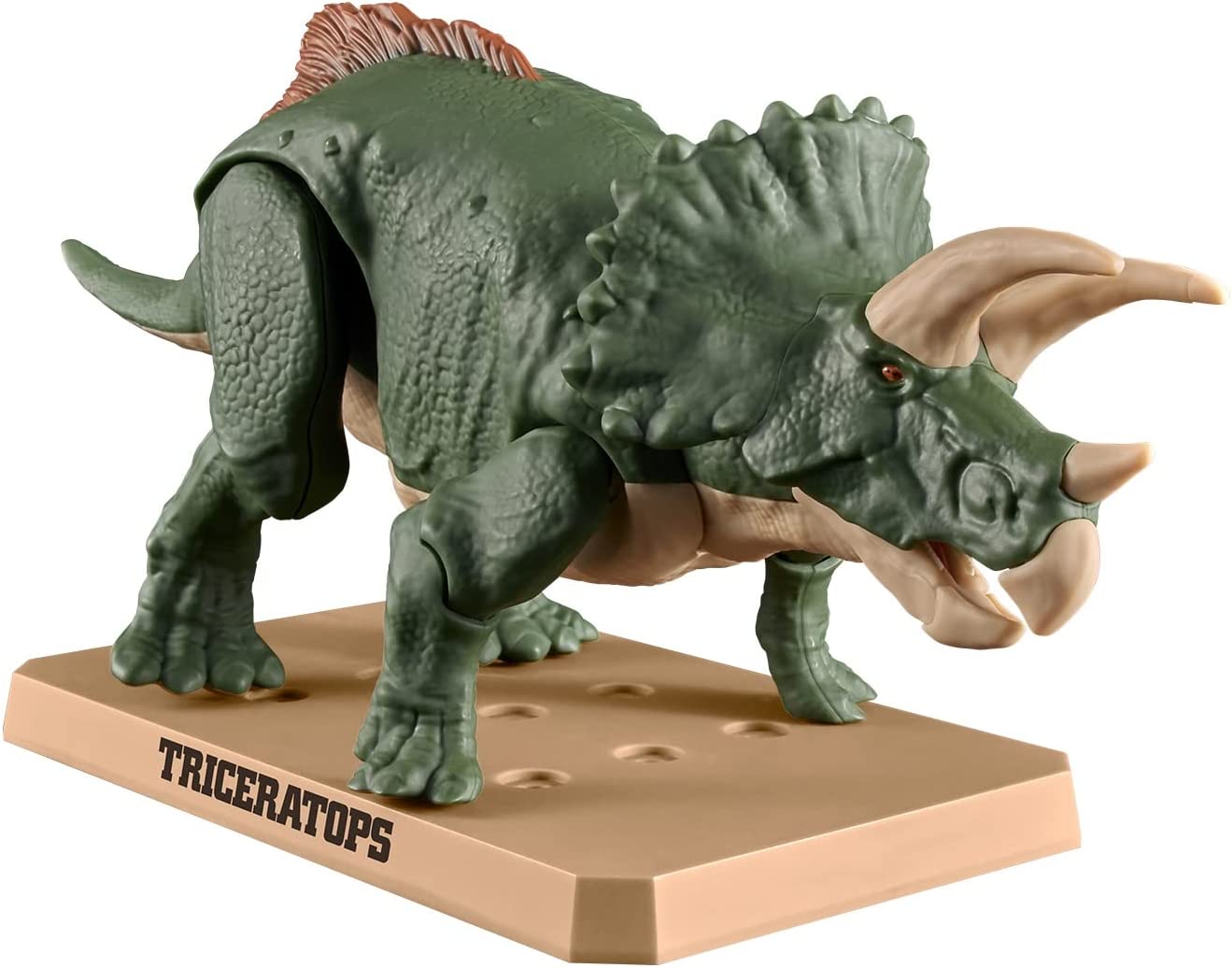 Planosaurus Triceratops Color Coded Plastic Model