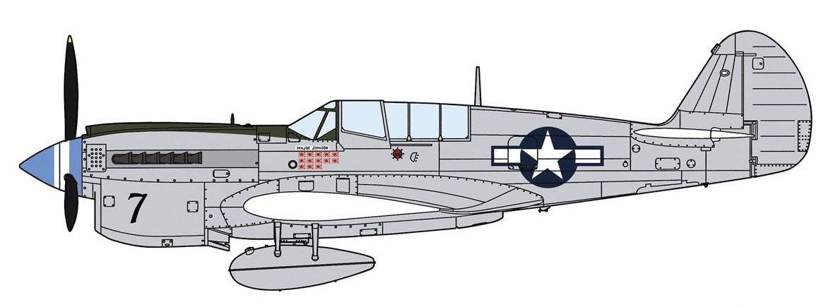 P-40N Warhawk `Natural Metal Aces`