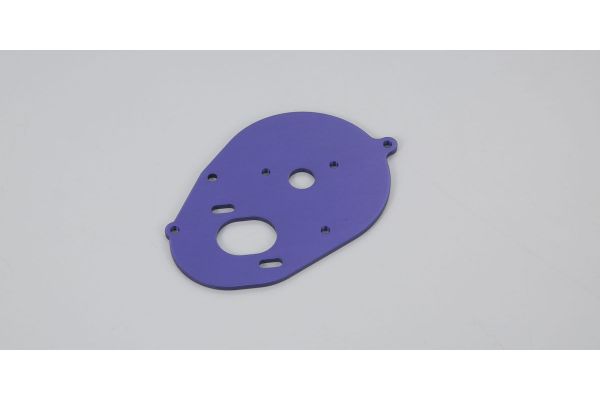UM312 Motor Plate
