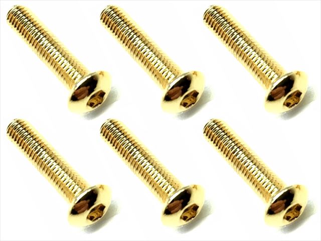 NSR-314G 3×14 Stainless steel hex Pan Head Screw (6 pcs.) 24K go