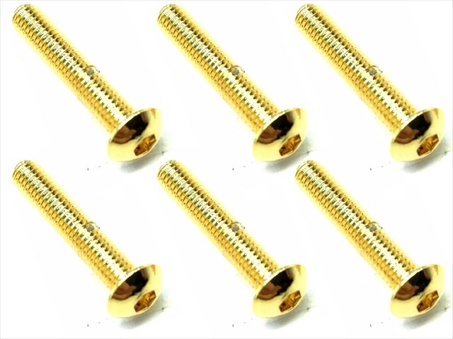 NSR-316G 3×16 Stainless steel hex Pan Head Screw (6 pcs.) 24K go