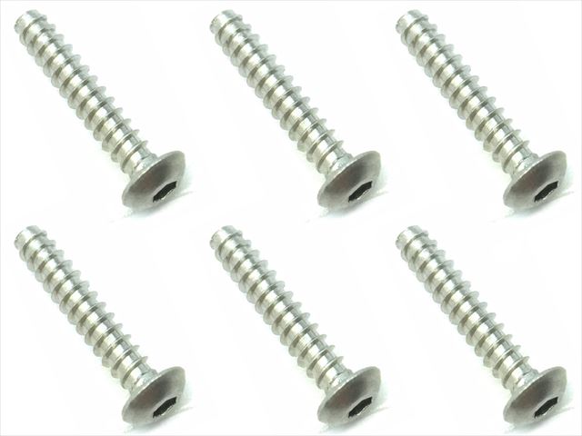 NTP-316 3×16 Titanium hex button tapping screw (6 pcs.)