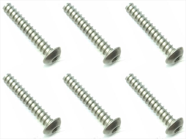 NTP-318 3×18 Titanium hex button tapping screw (6 pcs.)