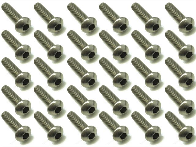NTR-3312 Titanium hex Pan Head Screw 3X12 (30 pcs.)
