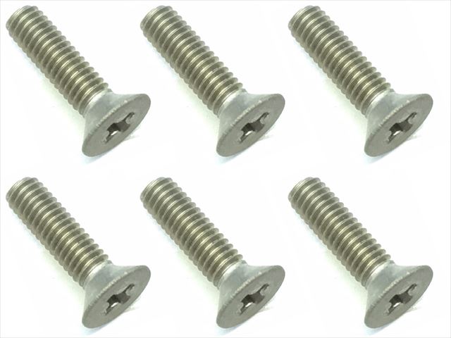 SGT-2610 2.6 X10 Titanium Flat Head Screw (6 pcs.) plus head