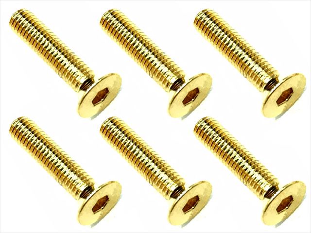 SSR-314G 3×14 Stainless steel hex Flat Head Screw (6 pcs.) 24K g