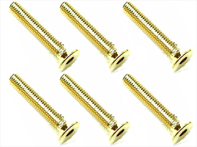 SSR-318G 3×18 Stainless steel hex Flat Head Screw (6 pcs.) 24K g
