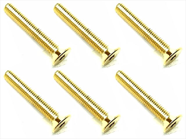 SSR-320G 3×20 Stainless steel hex Flat Head Screw (6 pcs.) 24K g