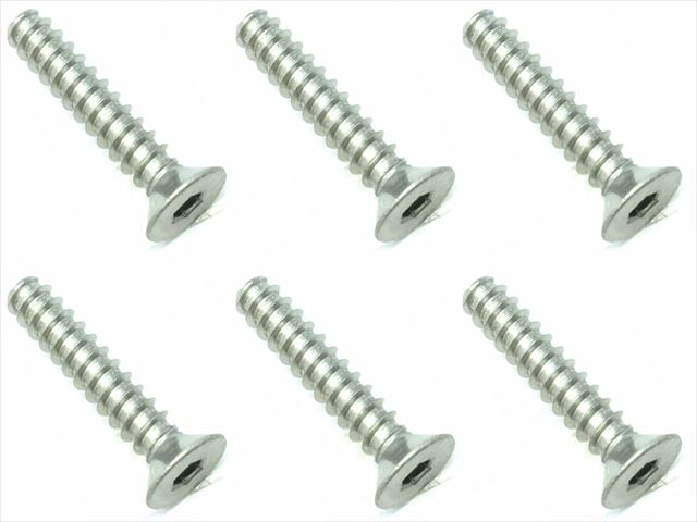 STP-316  3×16 Titanium hex Flat tapping screw (6 pcs.)