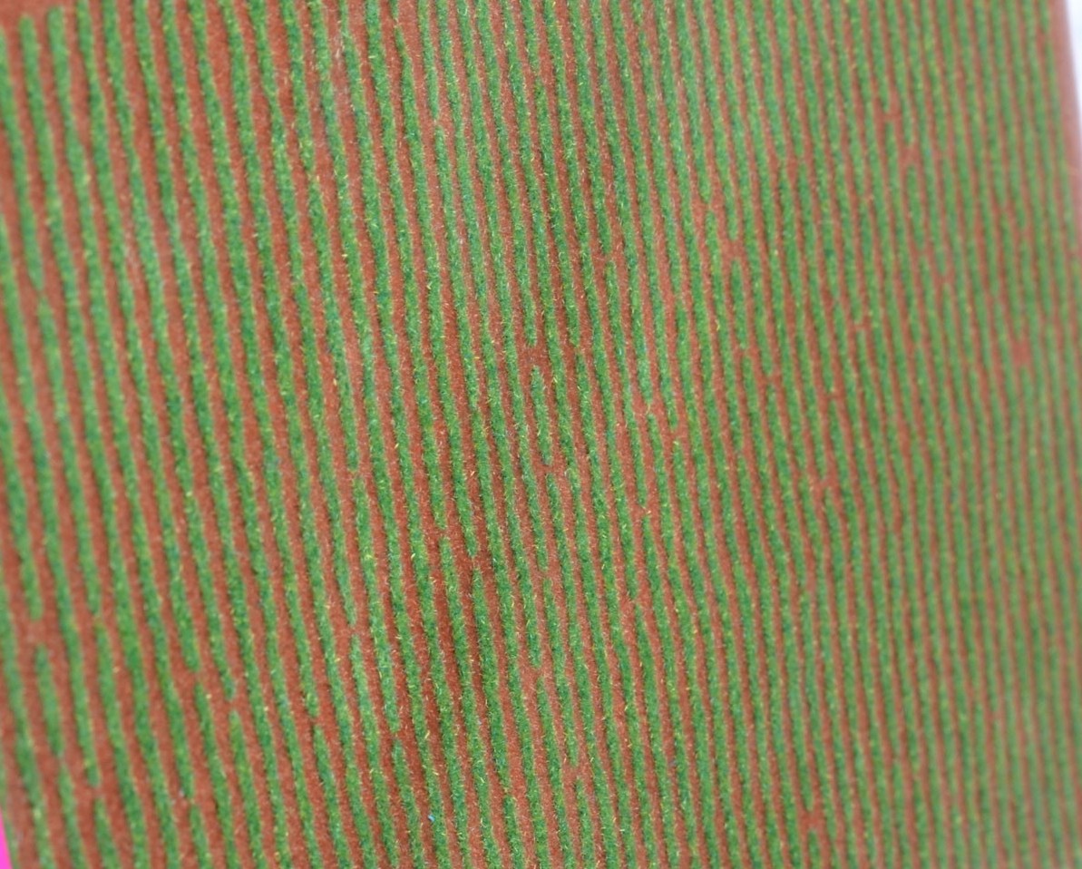 FS-01 Field Series : Spring Field (Field Sheet)