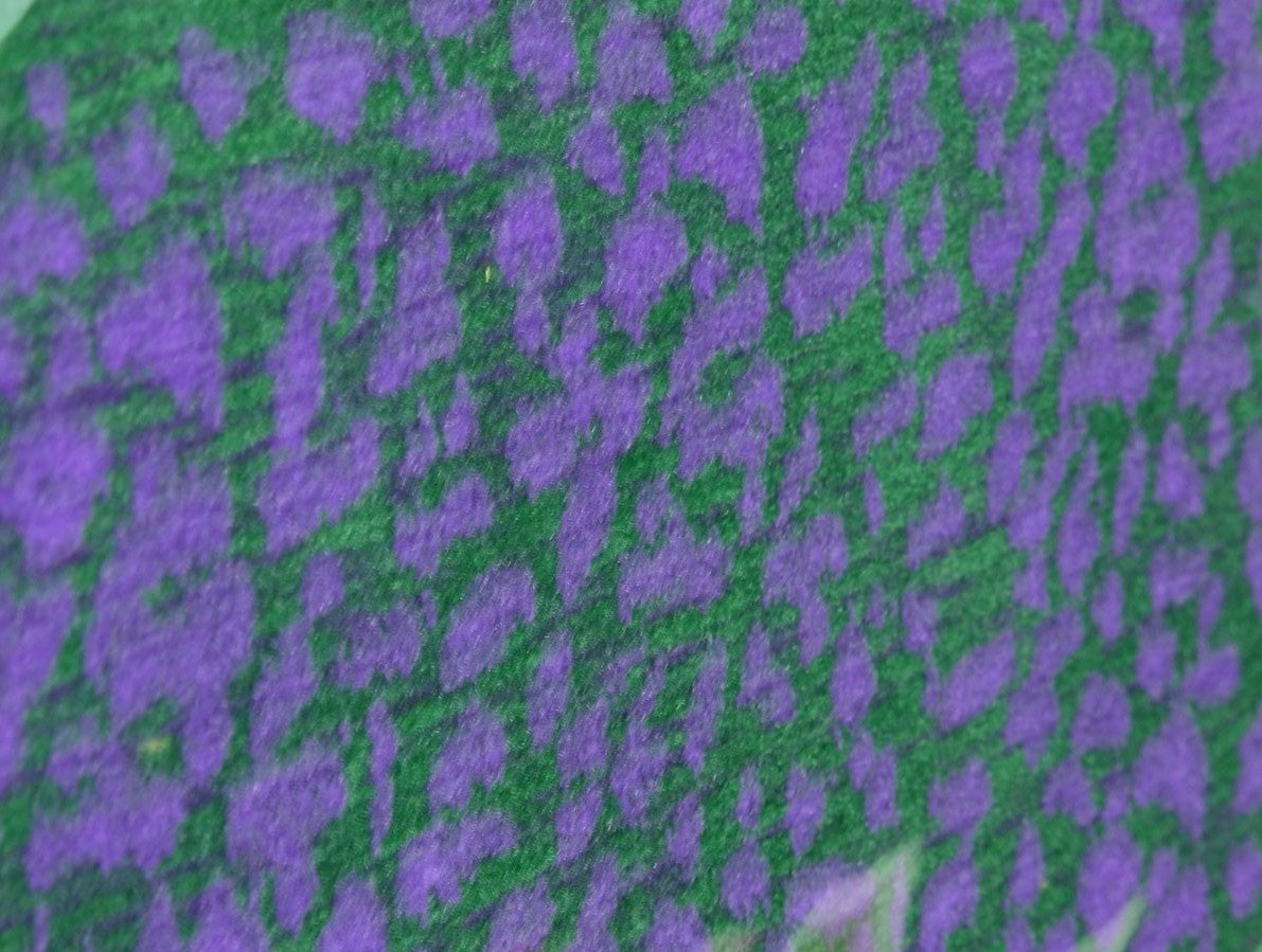 FS-06 Flower Garden & Paddy Series : Lotus Garden (Field Sheet)