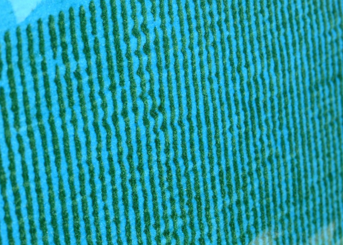 FS-11 Flower Garden & Paddy Series : Paddy (Field Sheet)