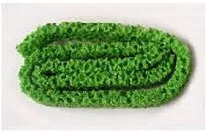 LA-31 Hedge (Spring)