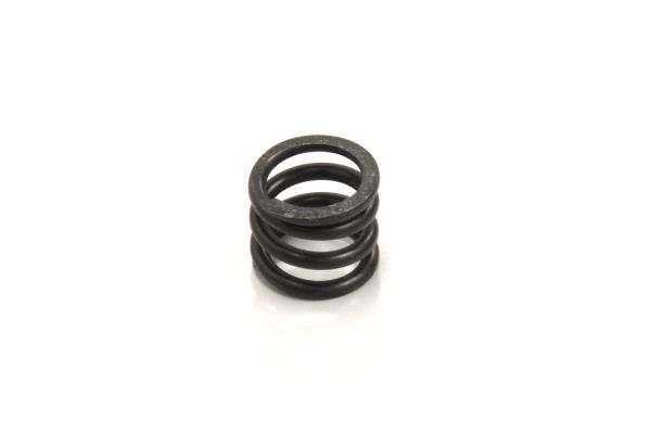 VZW442-08 Clutch Spring(Evo.2 3D Clutch/__.8/VZ446)