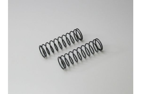 W5199-65 Spring (F/#65/L=55/2pcs)