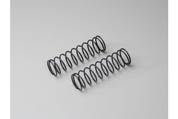 W5199-70 Spring (F/#70/L=55/2pcs)