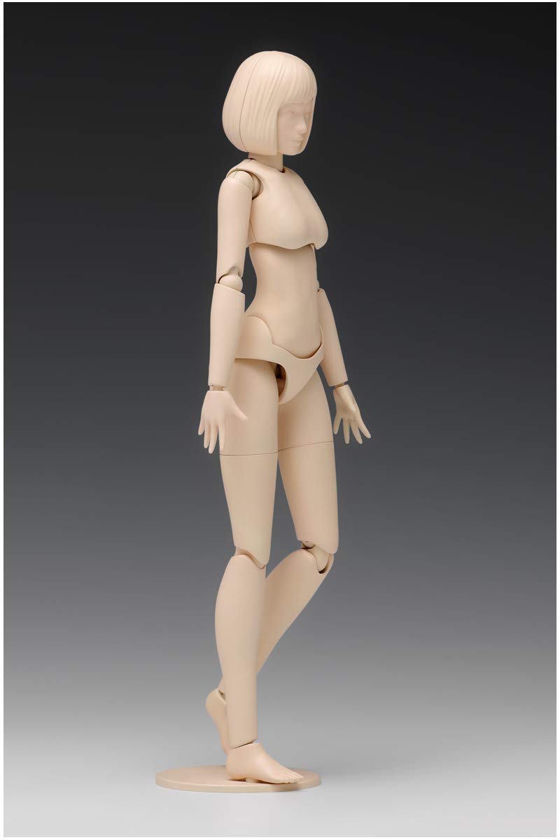 Movable Body Female Type (A Version)