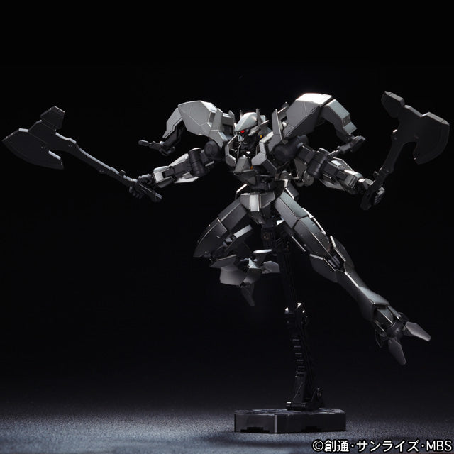 EXPO LIMITED HG Graze Ein Special Finish Ver.