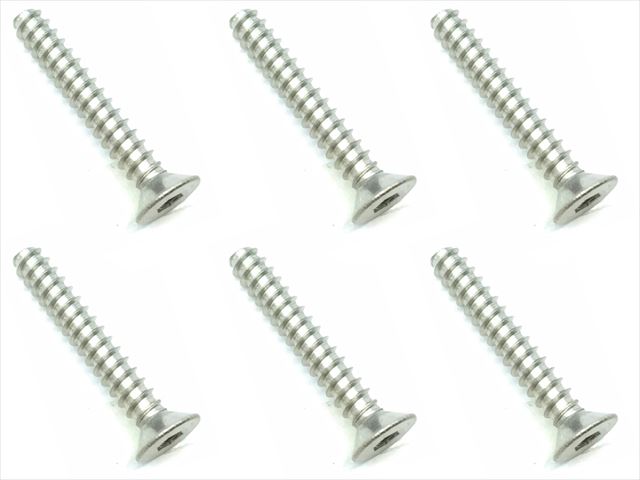 STP-320 3×20 Titanium hex Flat tapping screw (6 pcs.)