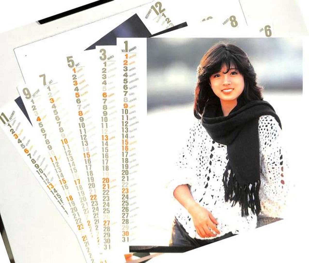 Warner Pioneer Akina Nakamori "Variation (Variations)" L-12550