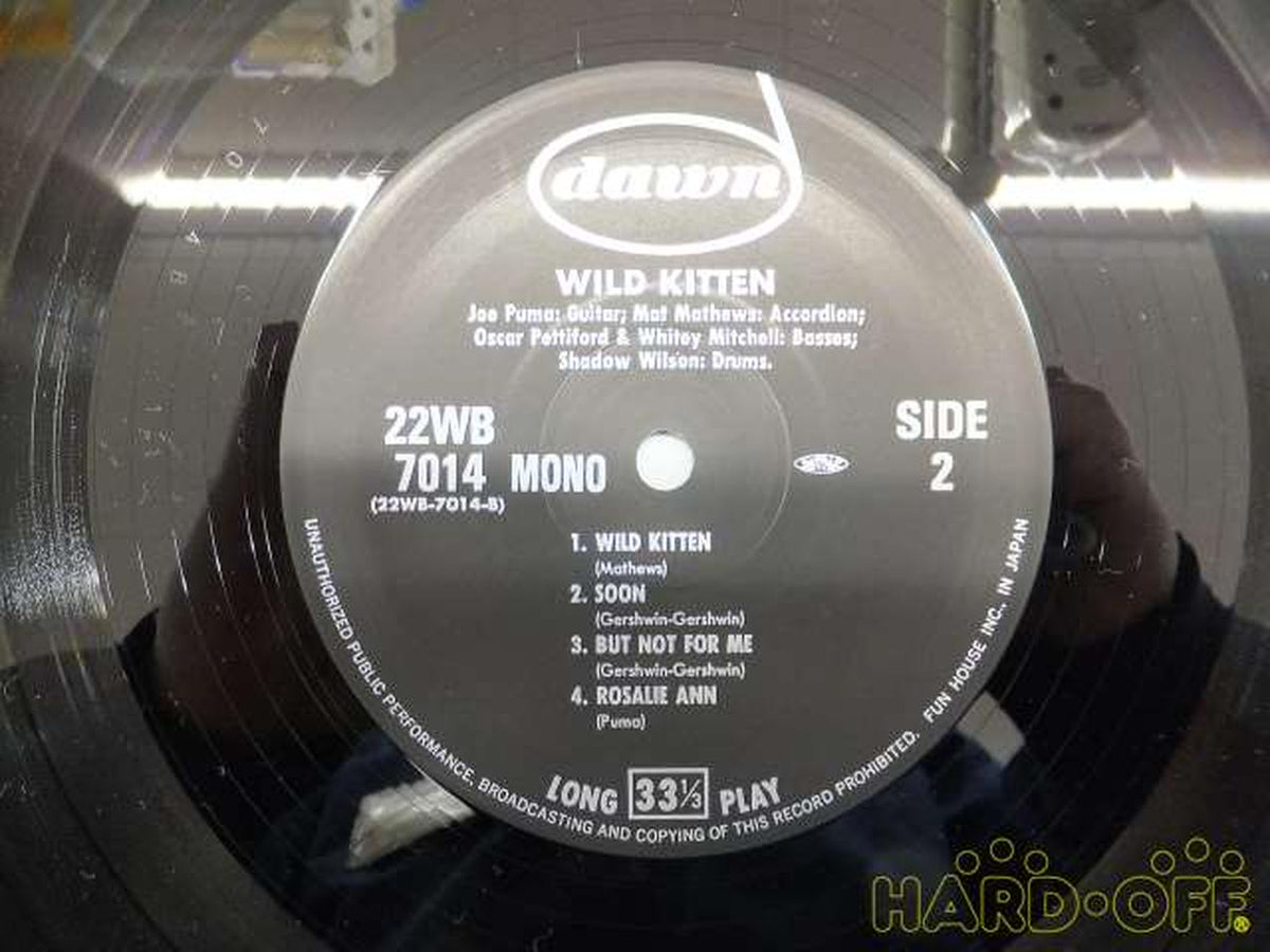 Fun House Co., Ltd. WILD KITTEN/JOE PUMA 22WB-7014/WILD KITTEN/JOE PUMA