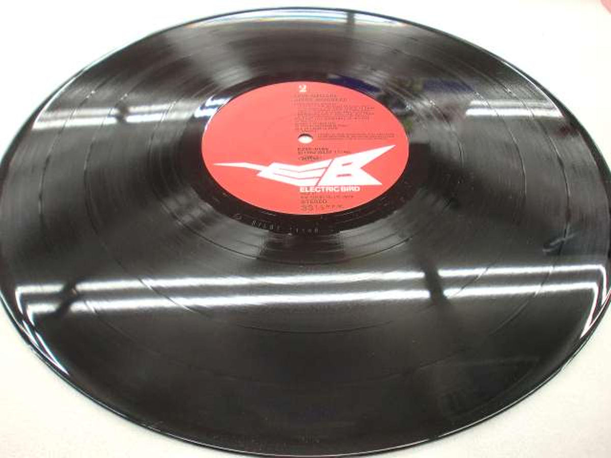 Electric bird Love Message / Akiko Mizuhara Love Message / Akiko Mizuhara (K28 6166)