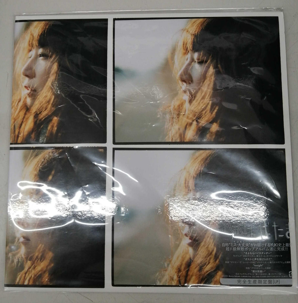 SONY MUSIC LP YUKI Blinking Complete Limited Edition