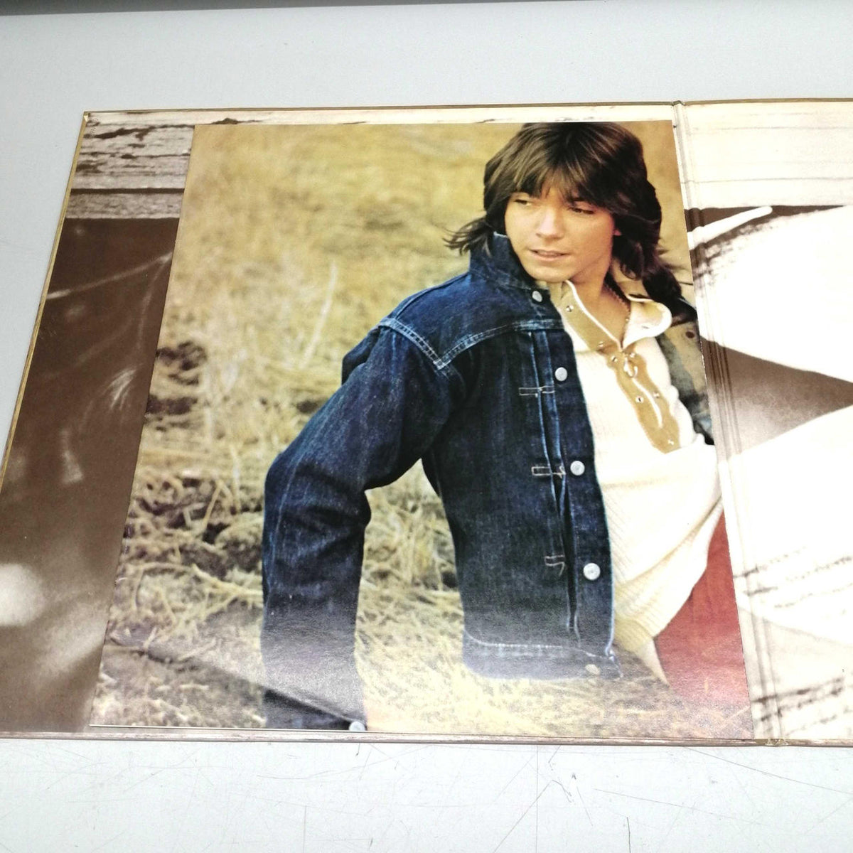 [JUNK] BELL Record BULLETIN BOARD/THE PARTRIDGE