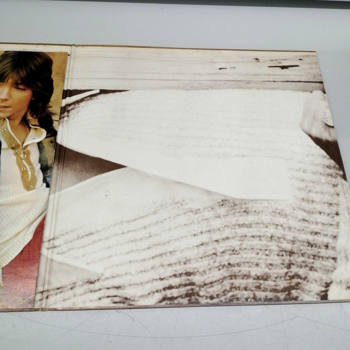 [JUNK] BELL Record BULLETIN BOARD/THE PARTRIDGE