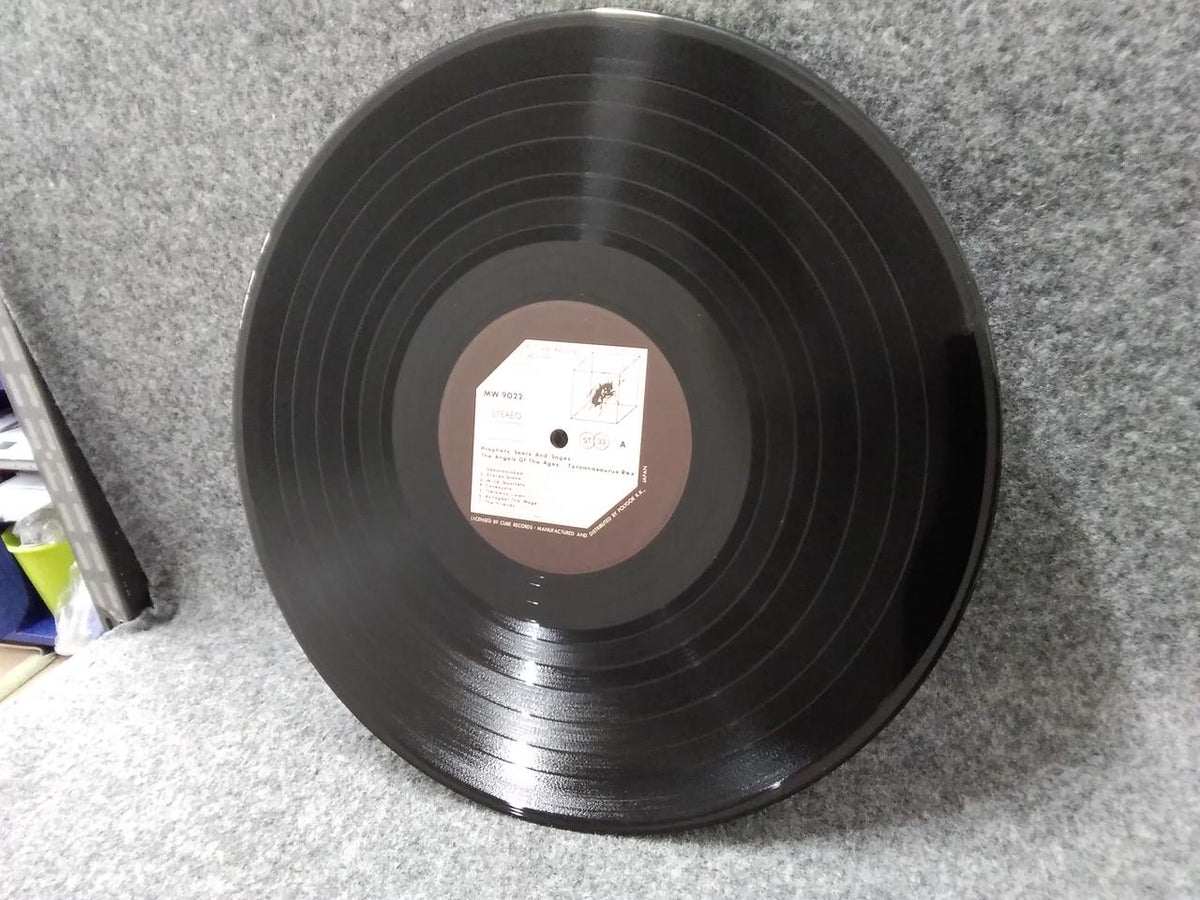 CUBE Record: Tyrannosaurus Rex/Lexstasy