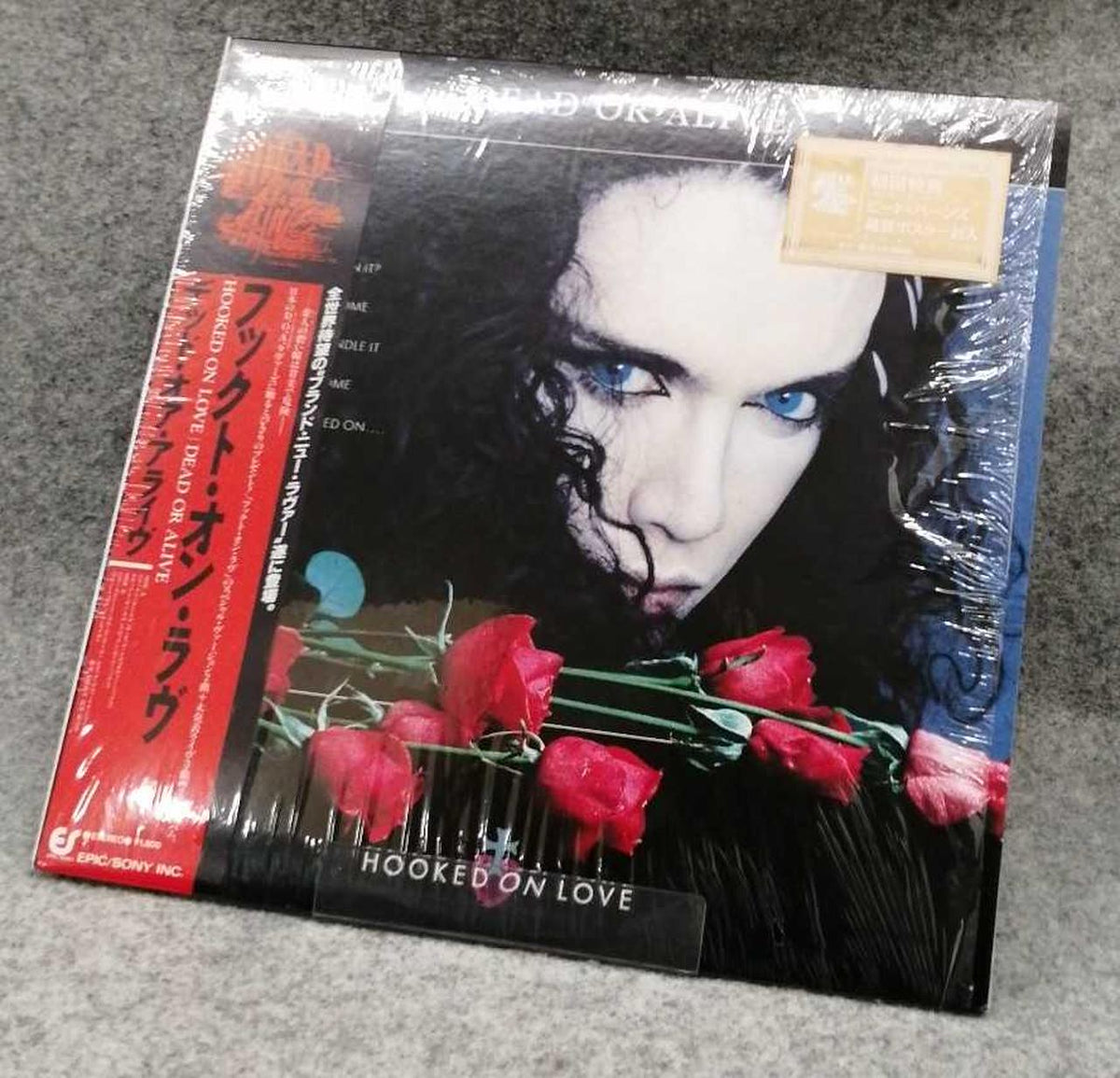 EPIC & Sony Western Music Hook-on-Love / Dead or Alive