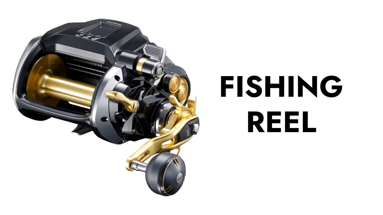 ダイワ(DAIWA) 21 セルテートSW 14000-XH | BanzaiHobby