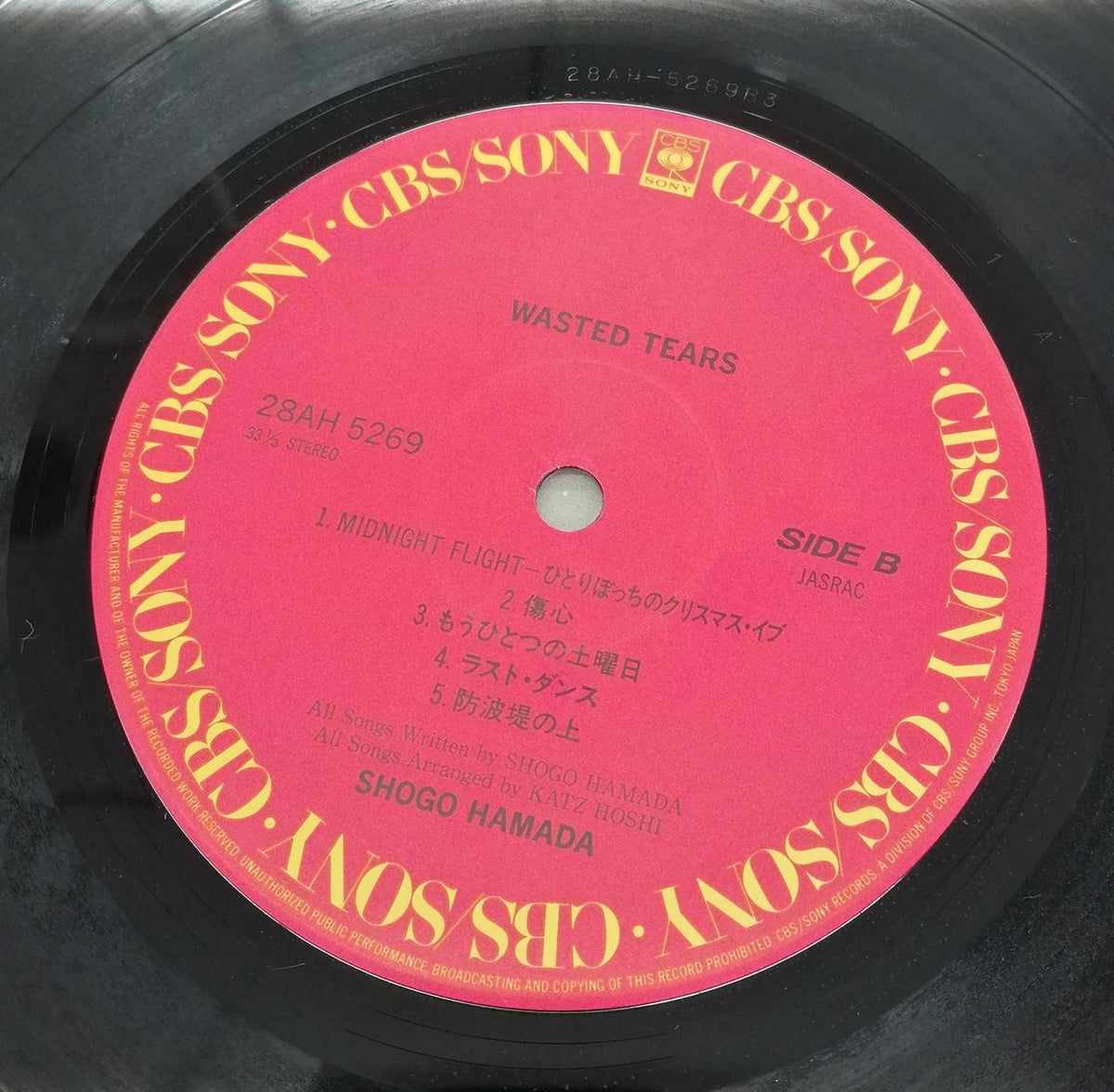 CBS/SONY Japanese Music Record WASTEDTEARS / Shogo Hamada