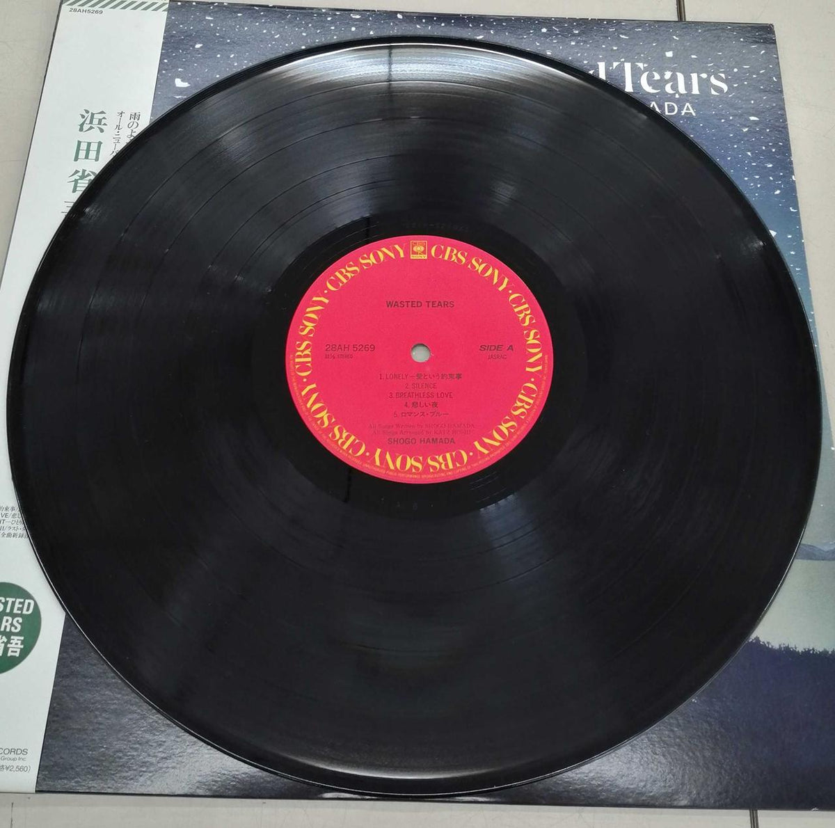 CBS/SONY Japanese Music Record WASTEDTEARS / Shogo Hamada