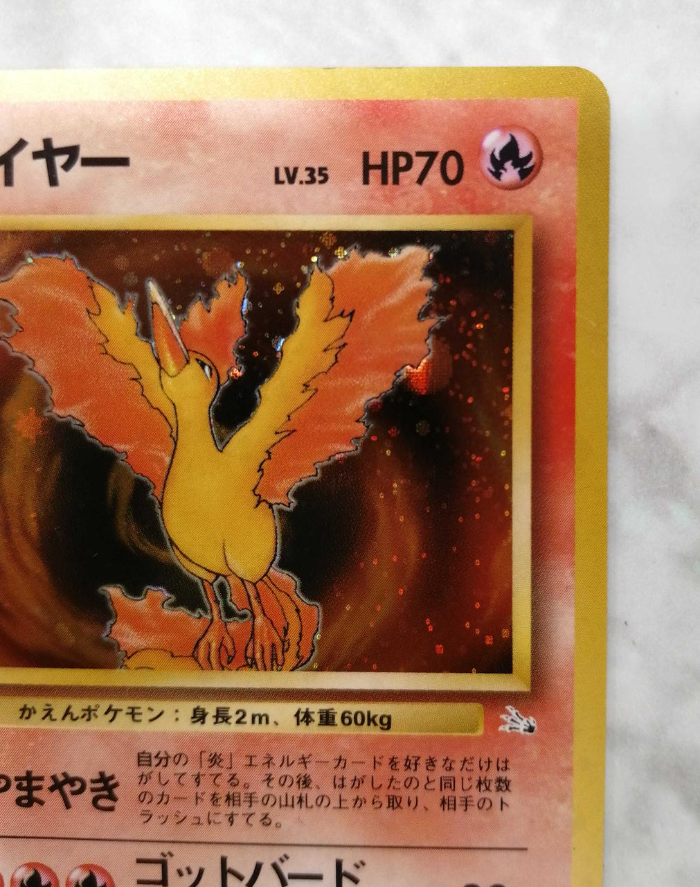 Pokémon Corporation Old Ura Fire No.146 - Banzai Thrifting | BanzaiHobby