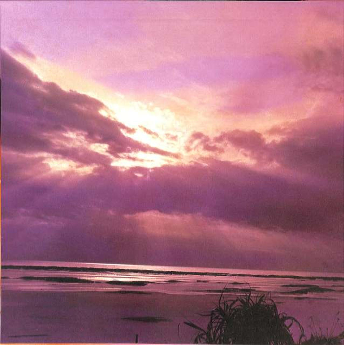 Canyon Miyuki Nakajima "Cold Water Fish" C28A0208