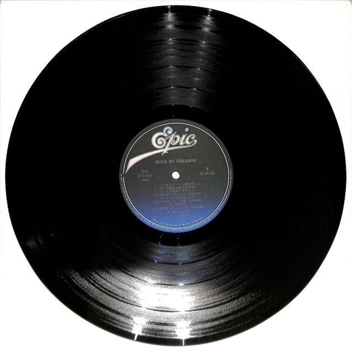 EPIC Sony Look "Boys Be Dreamin" 28.3H-165