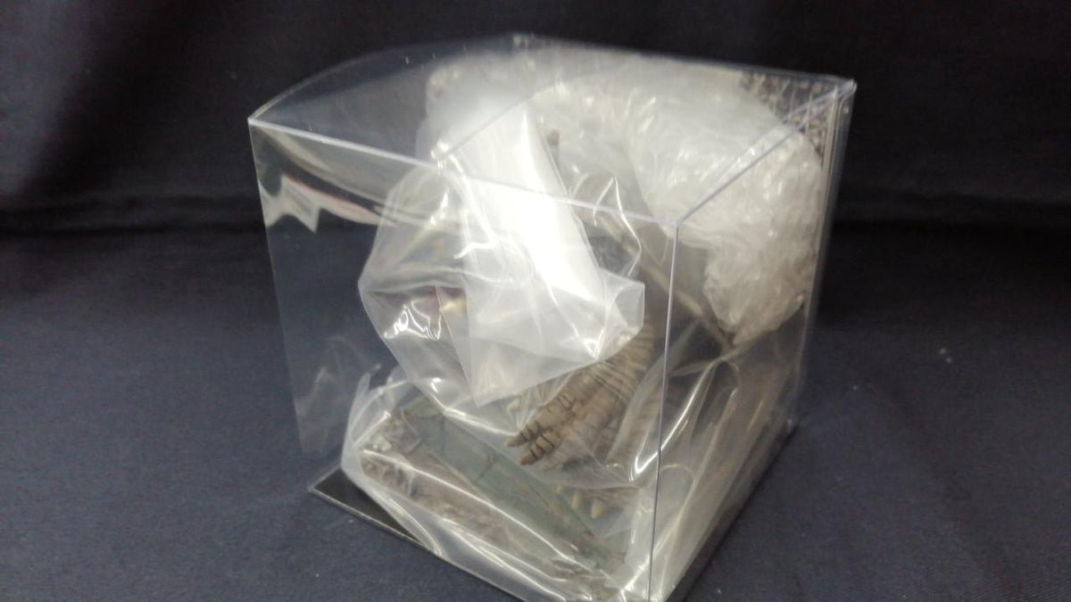 Sikarna Workshop Soft Vinyl Gamera 1999 CUBE (Trauma Color Ver.) with Base