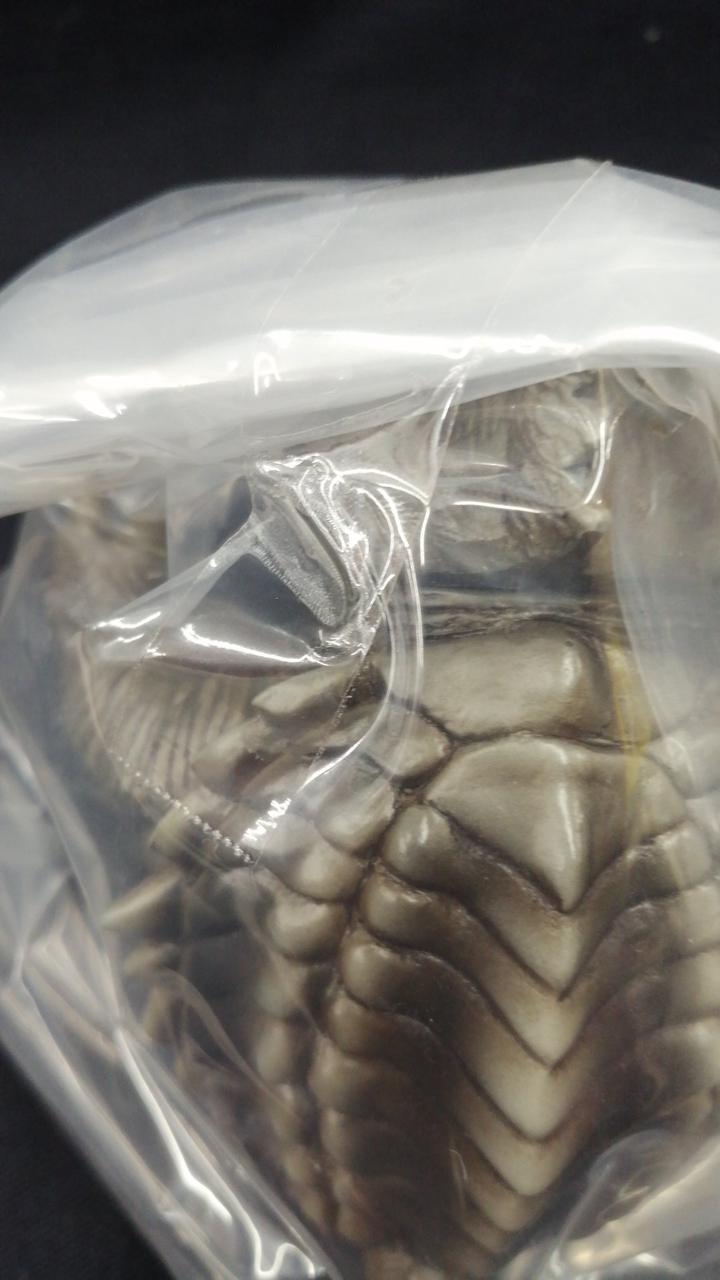 Sikarna Workshop Soft Vinyl Gamera 1999 CUBE (Trauma Color Ver.) with Base