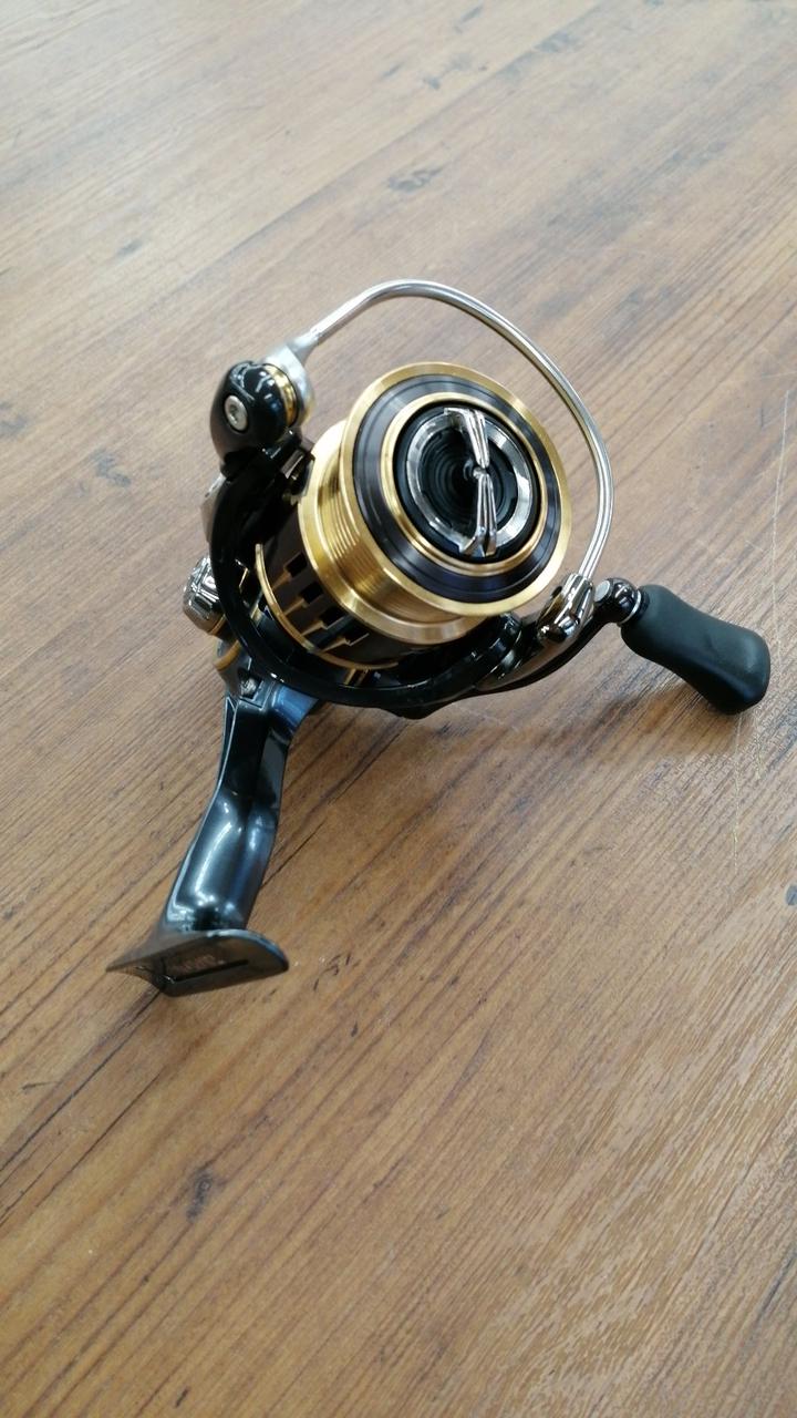 DAIWA Spinning Reel THEORY-2004 – BanzaiHobby