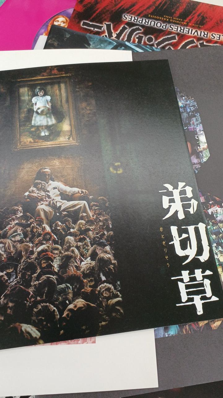 None Bulk Sale of Movie Pamphlets