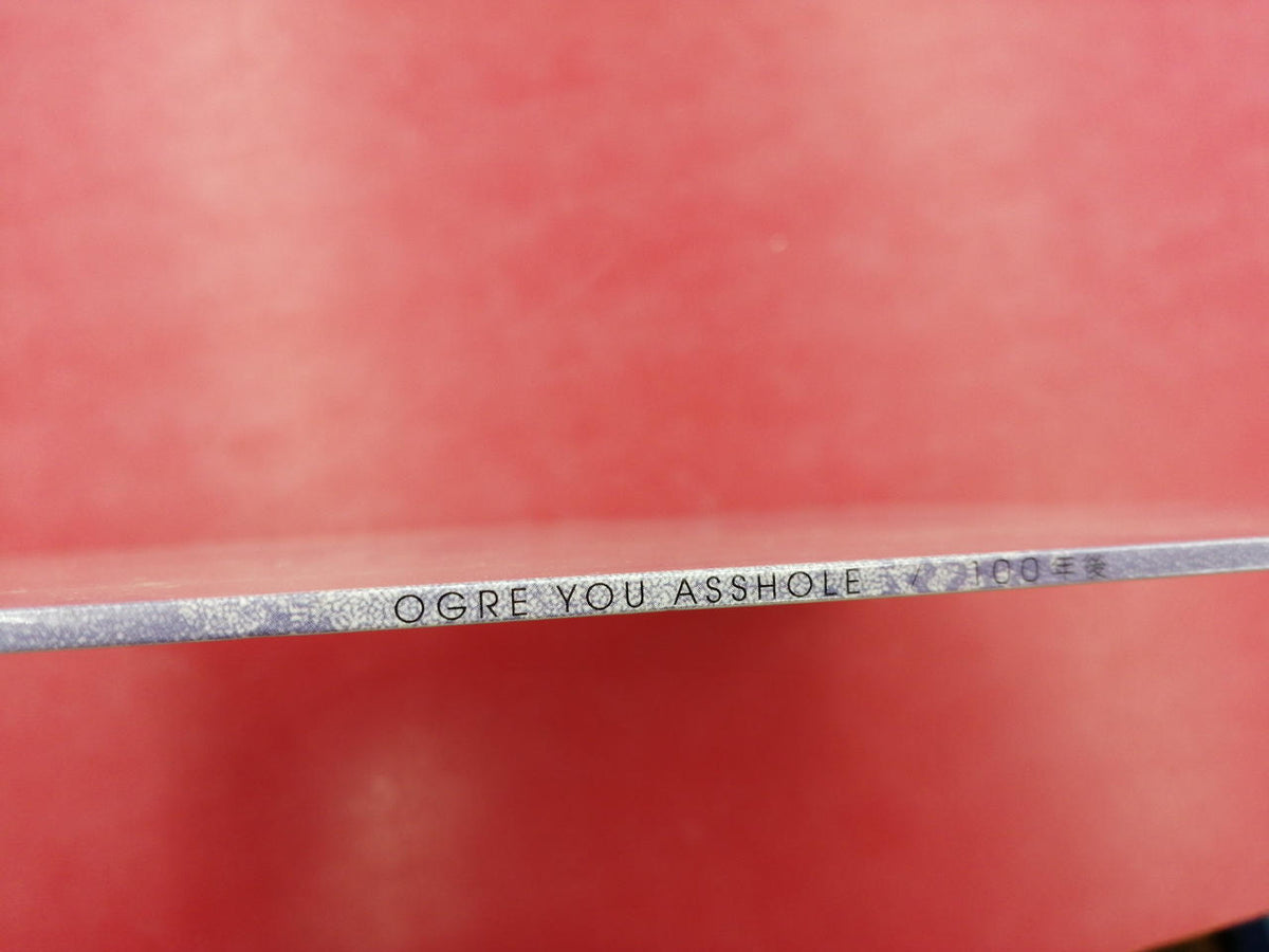VAP OGRE YOU / 100 Years Later JSLP017