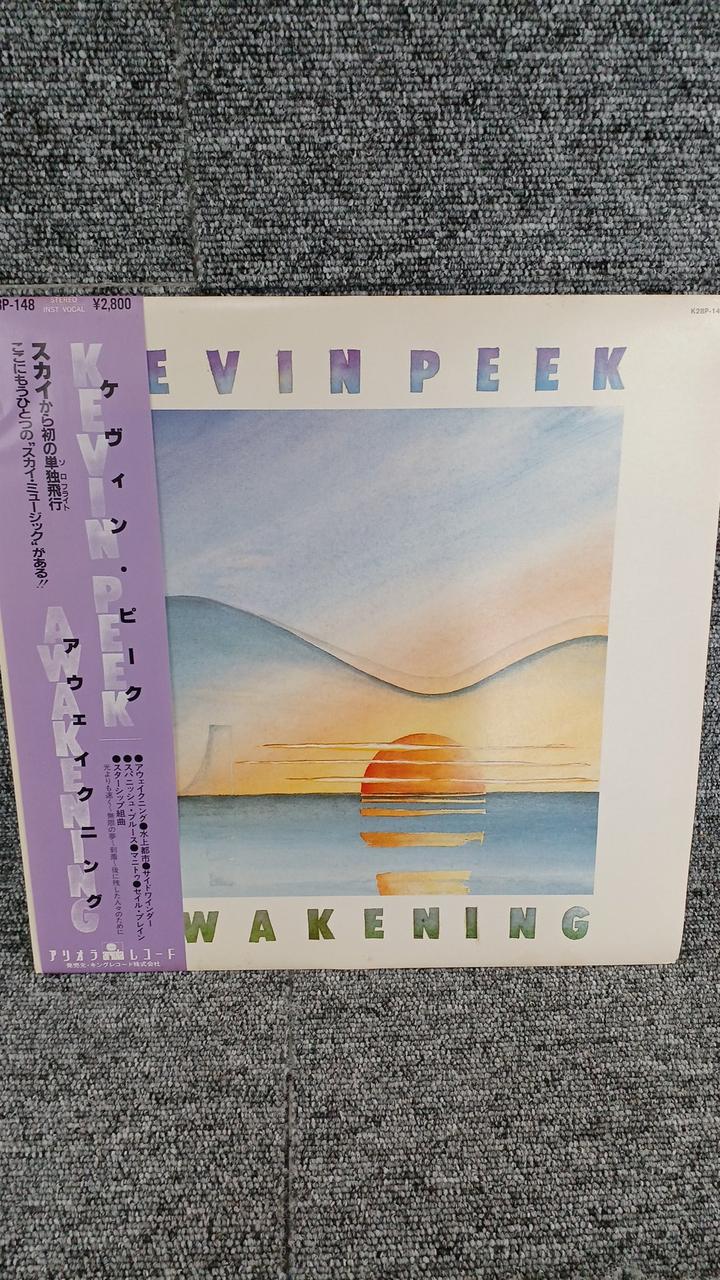 Ariola Sample Disc Unused Record Kevin Peak