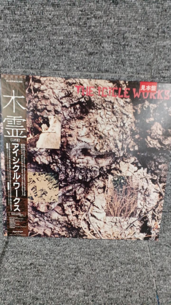 VICTOR Sample Disc Unused Record Iccle Works Korei