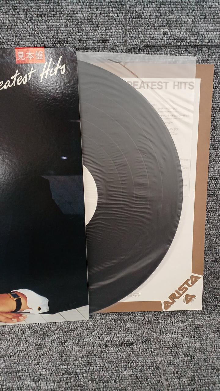 ARISTA Sample Disc Unused Record BADBOY