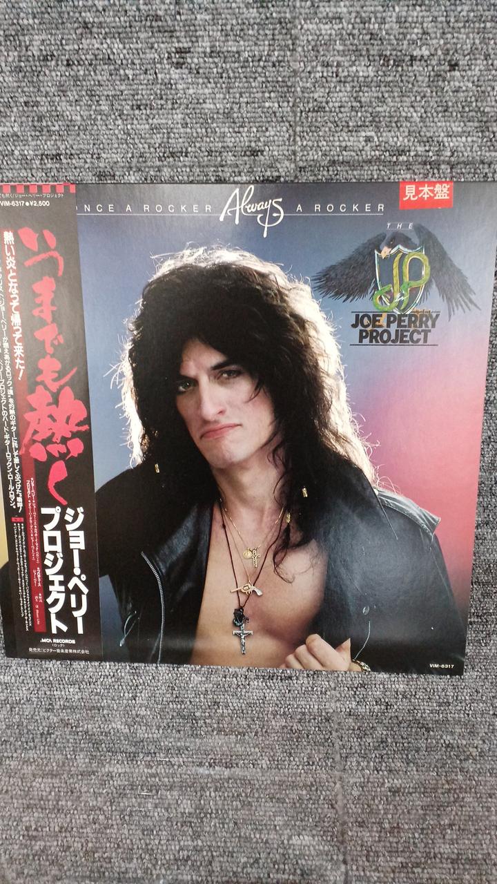 MCA Sample Disc Unused Record Joe Perry Project