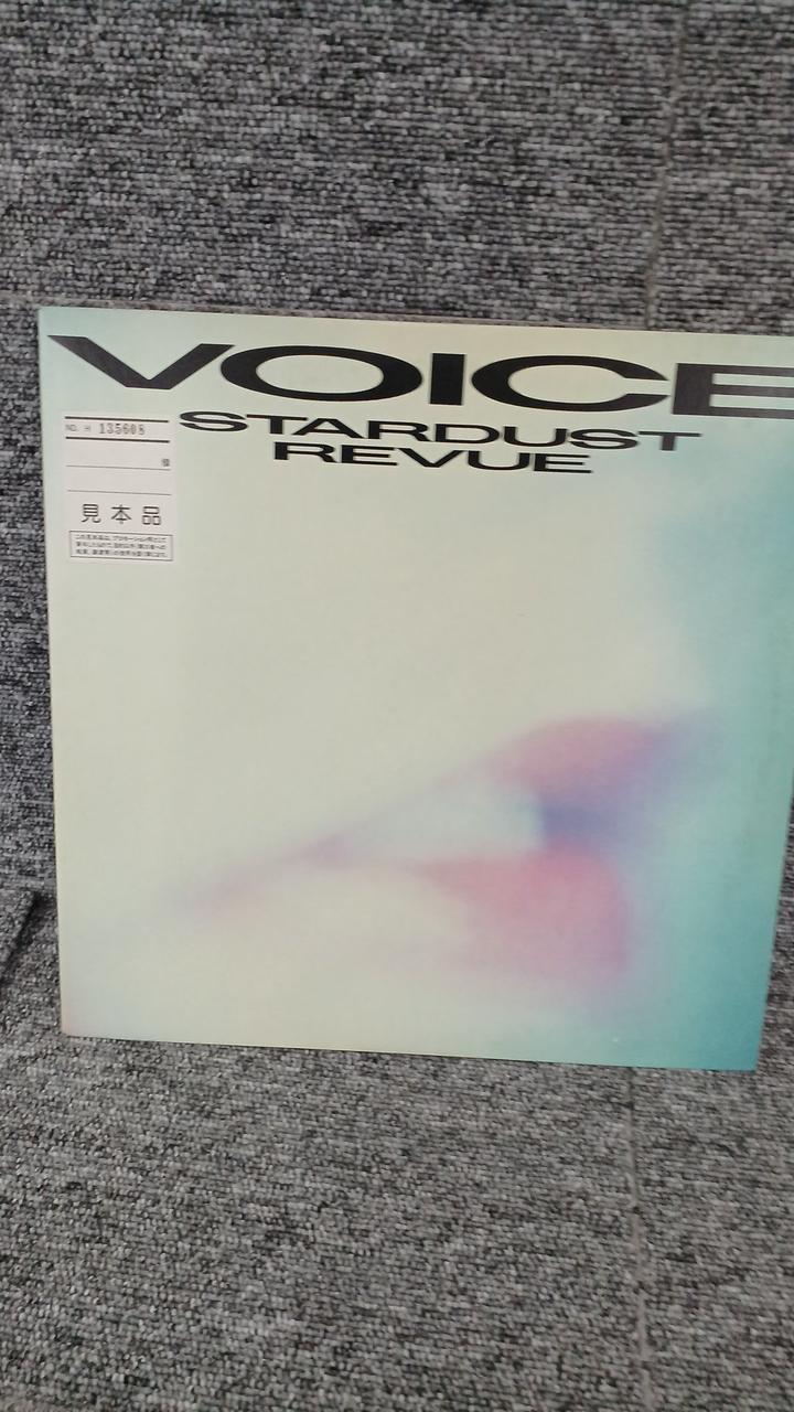 Warner Pioneer Sample Disc Unused Record Stardust Review VOICE